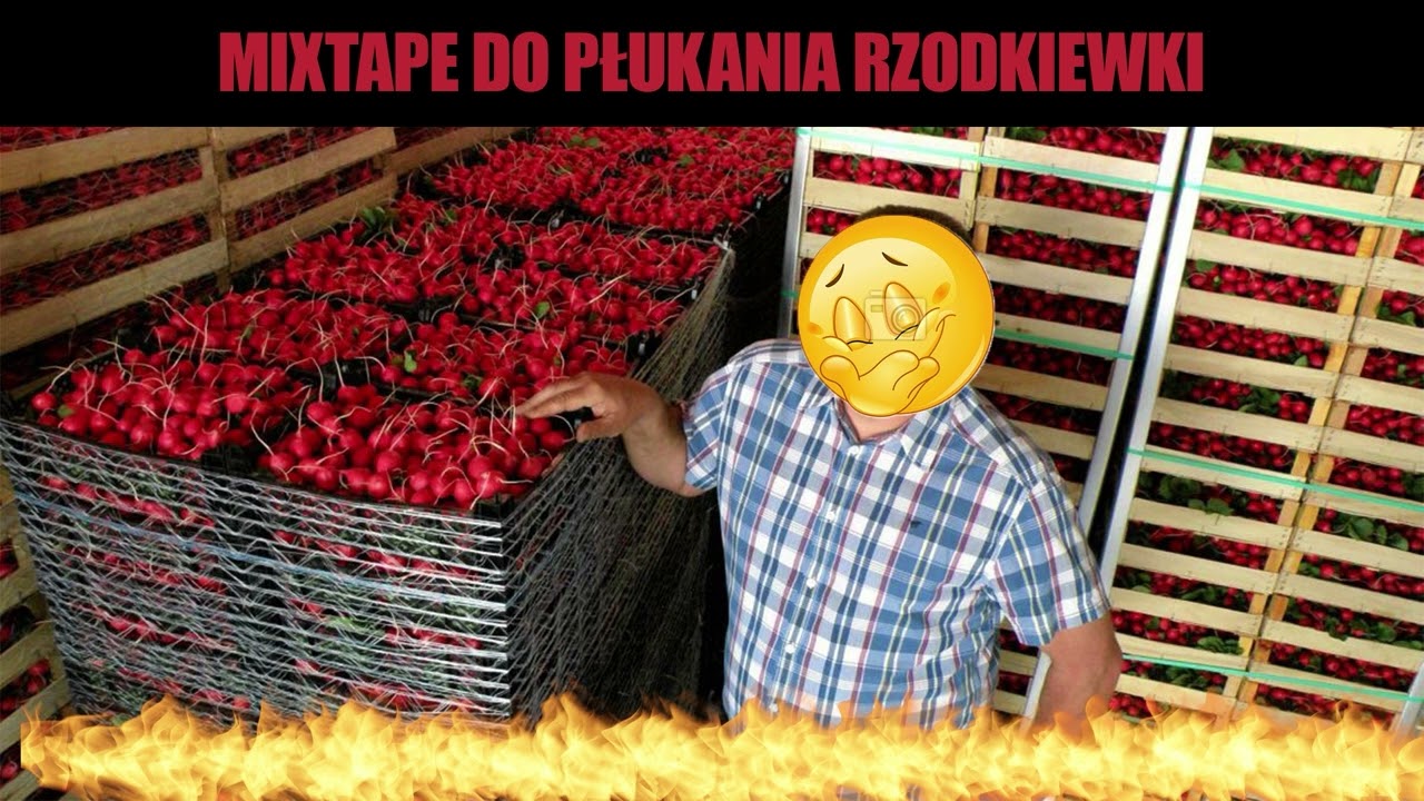 █▬█ █ ▀█▀ MIXTAPE DO ZBIERANIA RZODKIEWKI