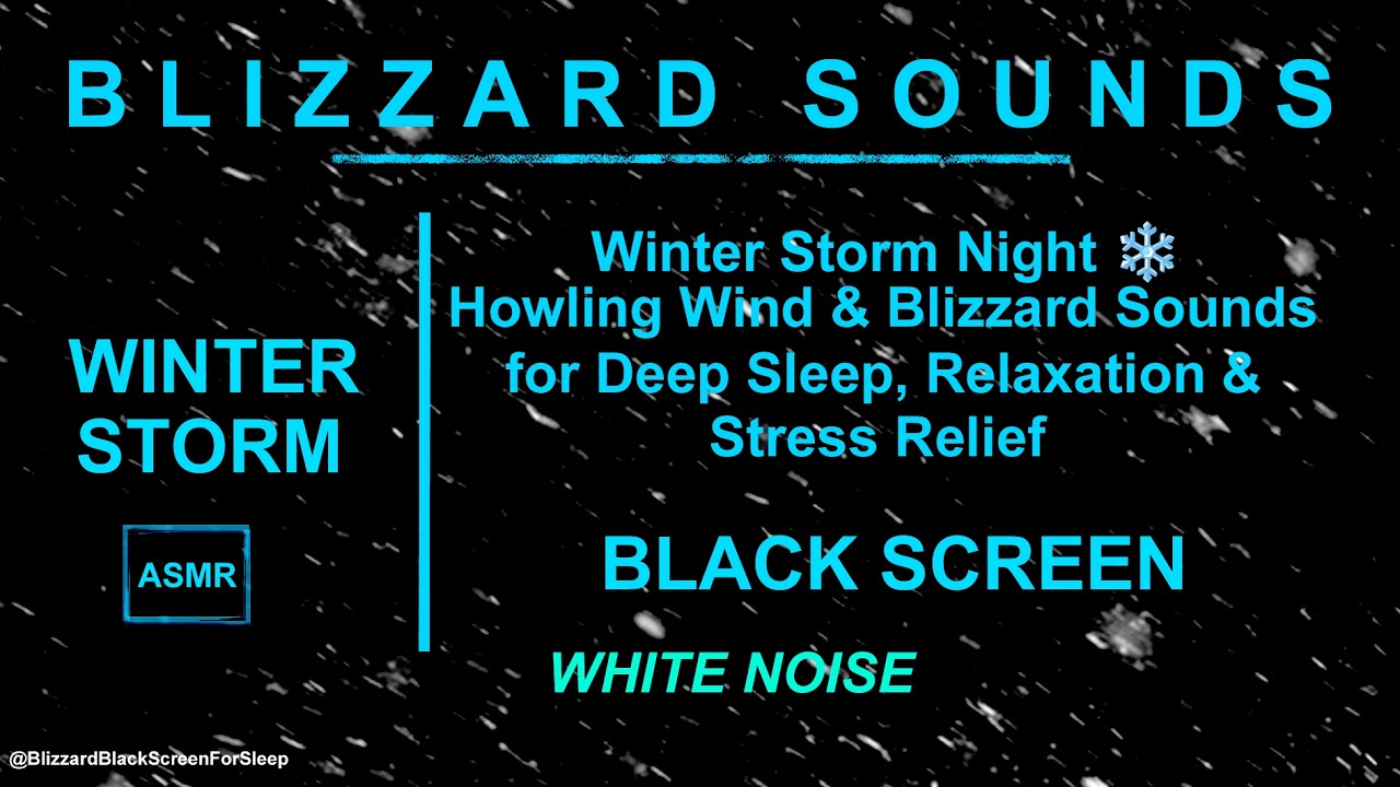 Winter Storm Night ❄️ Howling Wind & Blizzard Sounds for Deep Sleep, Relaxation & Stress Relief