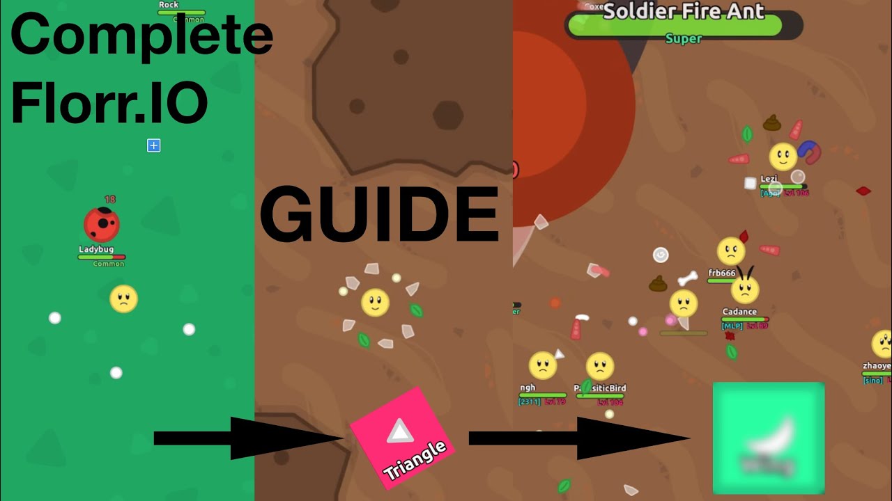 [2026] The Complete Beginner-Friendly* Florr.io Guide, how to get your first SUPER