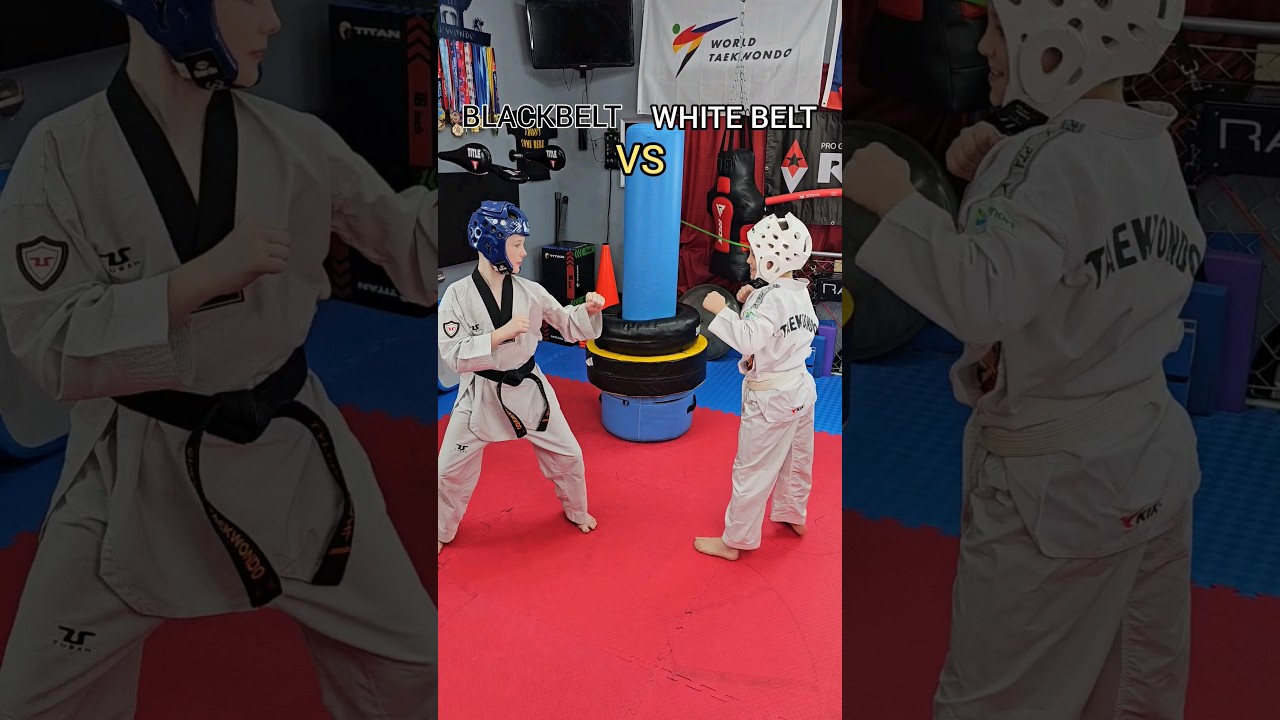 Blackbelt vs White Belt #taekwondo #martialarts #blackbelt #shorts