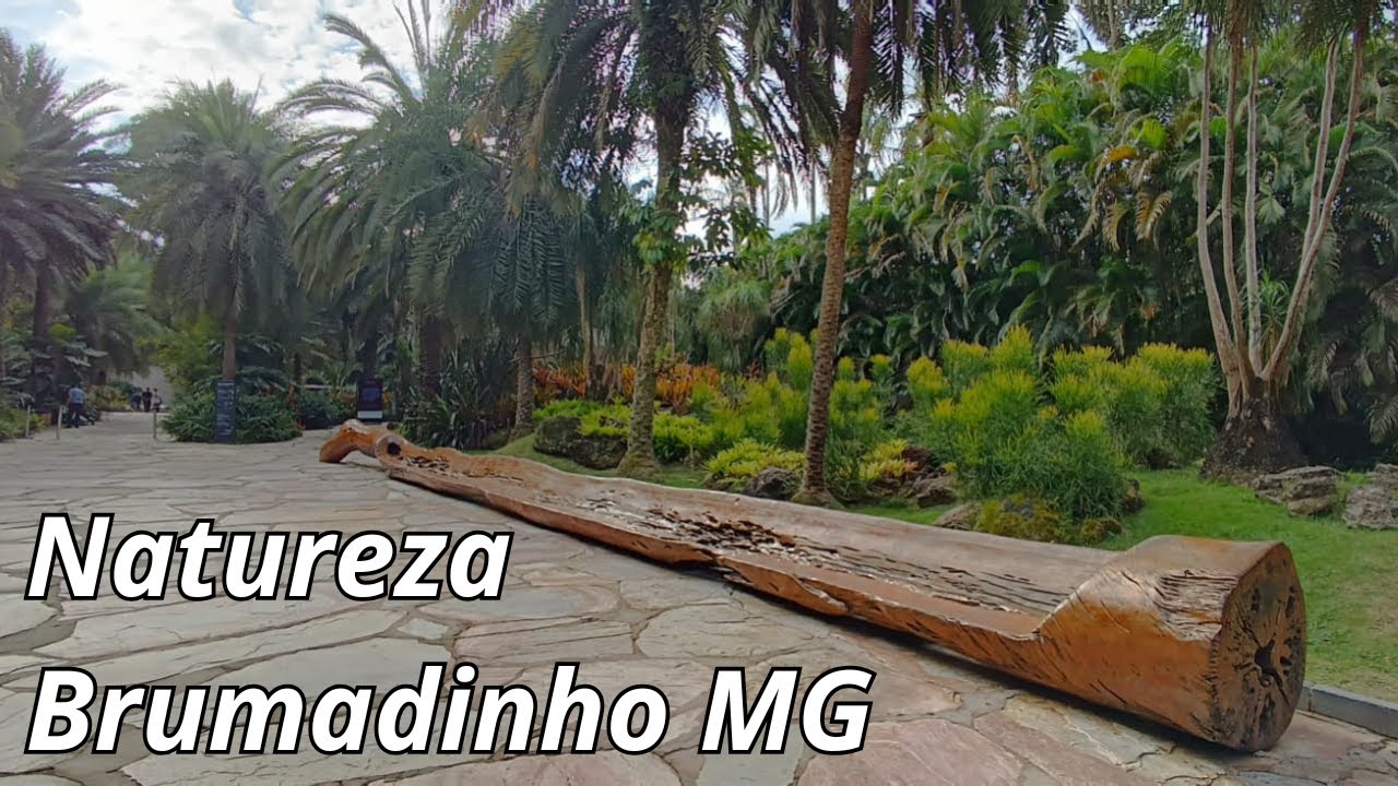 Instituto Inhotim (By Chácara Viver)