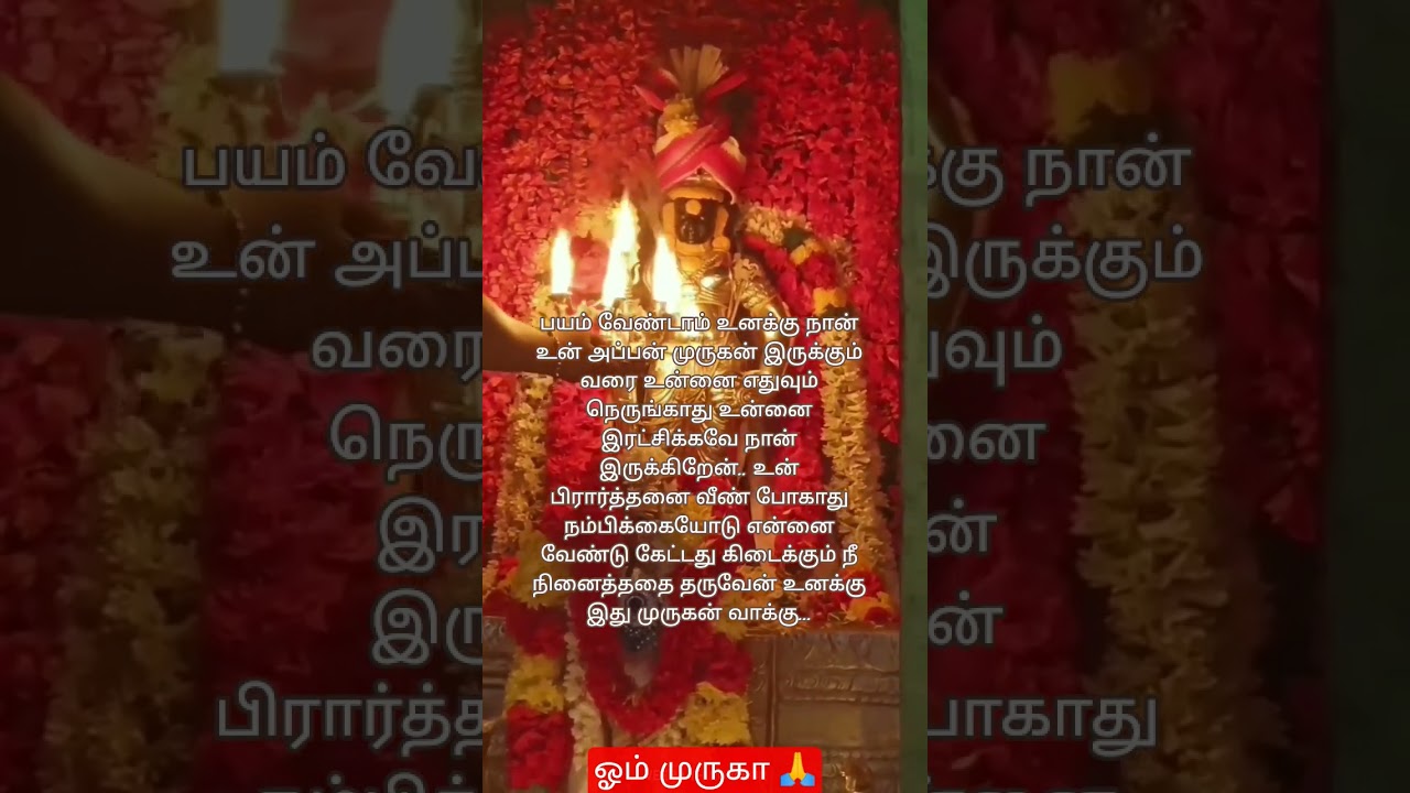 முருகன் வாக்கு 🙏 ஓம் முருகா சரணம் 🙏 #lordmurugan #muruganvakku #tamil #shortvideo #muruganarul