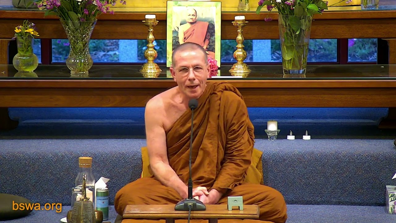 Cultivating the One that Knows as the Way Out | Ajahn Cattamalo | 17 January 2026