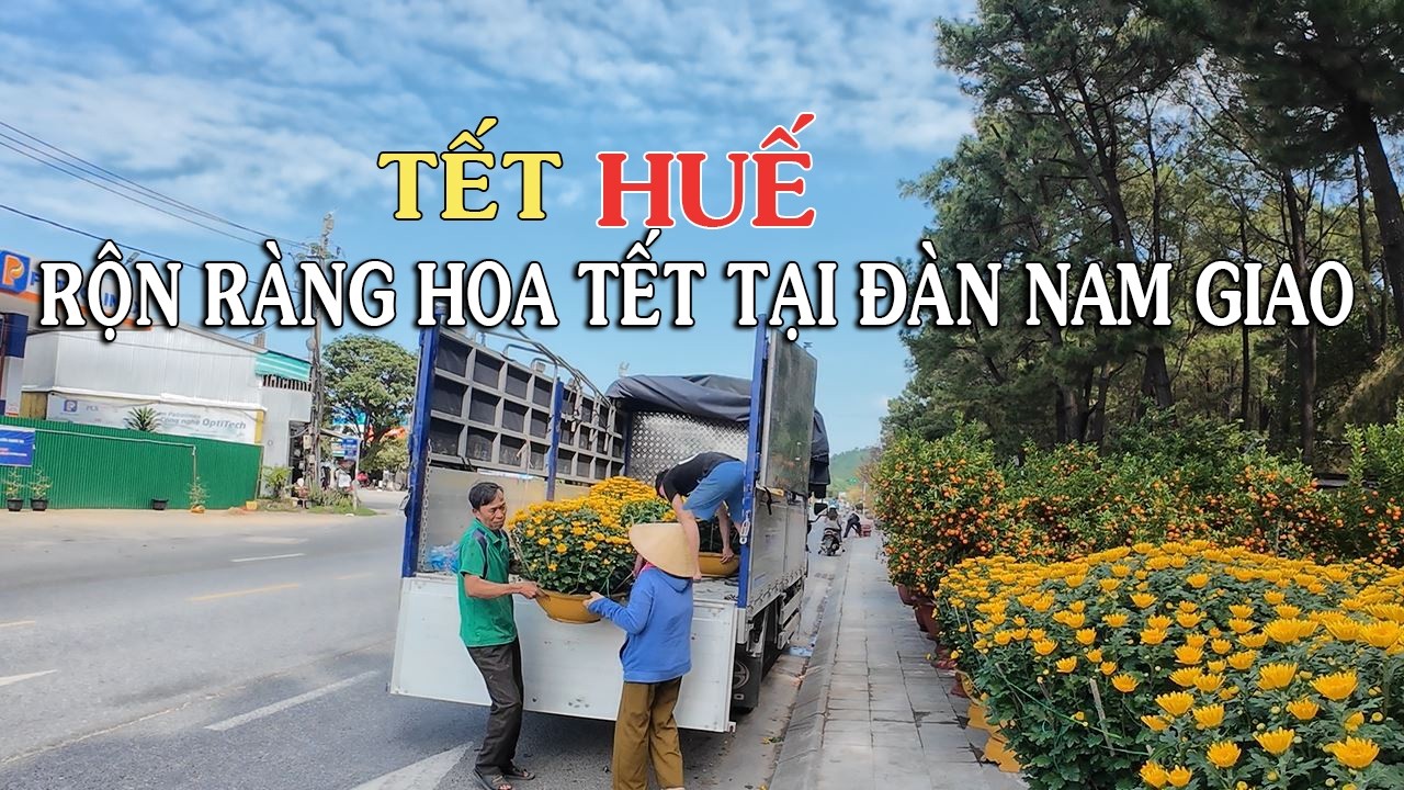 Đàn Nam Giao Huế đã Rôn Ràng Hoa tết chờ bà con đến chọn