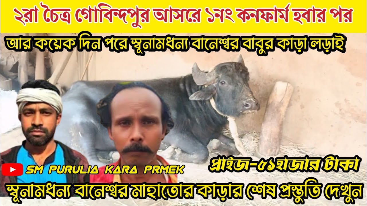 ২রা চৈত্র গোবিন্দপুর আসরে১নং জোড়া কনফার্ম হবার পর!বানেশ্বর মাহাতোর কাড়ার শেষ প্রস্তুতি দেখুন।।