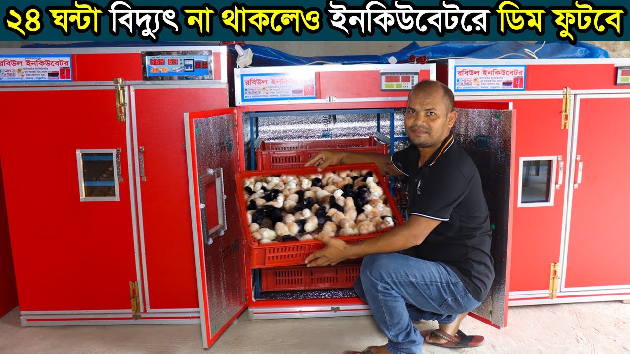 ২৪ ঘন্টা বিদুৎ না থাকলেও ফুটবে ডিম।রবিউল ভাইয়ের চমৎকার ইনকিউবেটর মেশিন। Robiul incubator