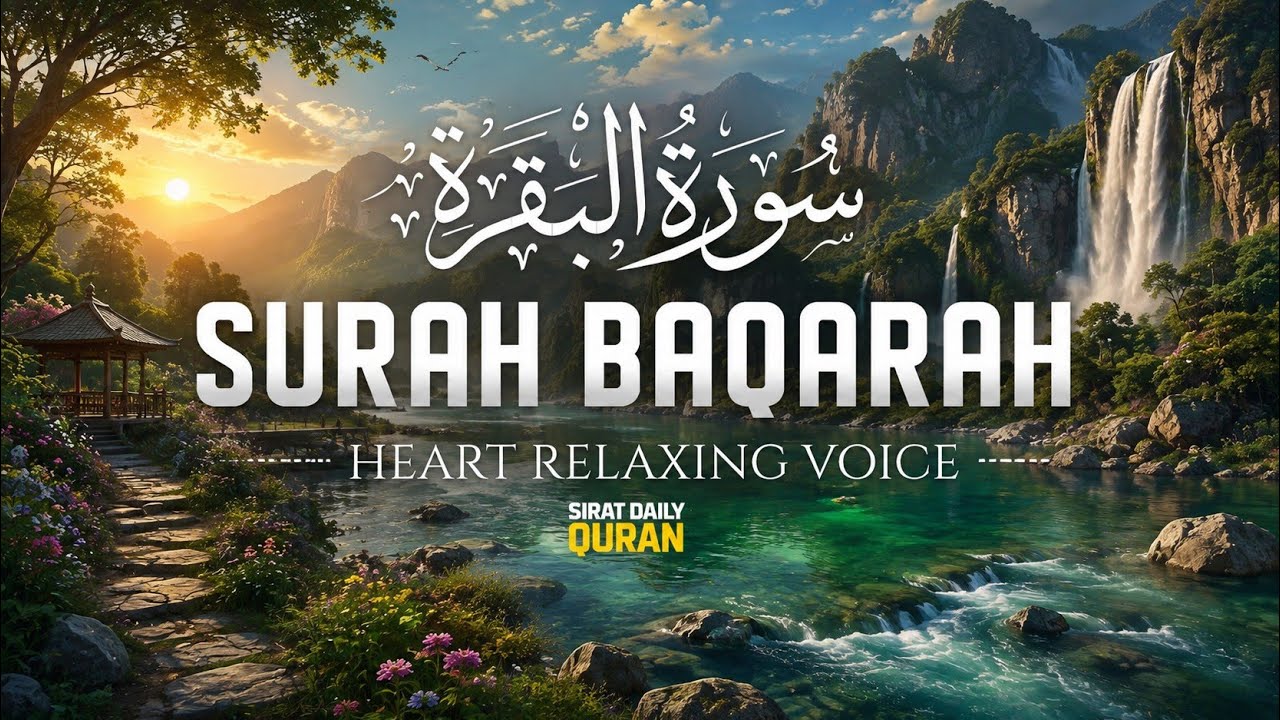 Surah Al-Baqarah Full | Beautiful Quran Recitation by Qari Ala Aqel | Peaceful Tilawat (HD)