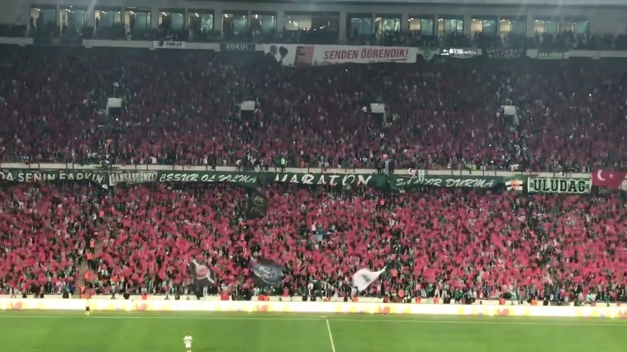Bursaspor Kütayha / Haydi Bastır Yeşil Timsahlar