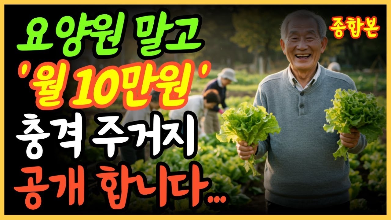 “요양원 말고, 월 10만 원에 이런 집이 있습니다｜할아버지가 행복해진 이유는 바로 이것!