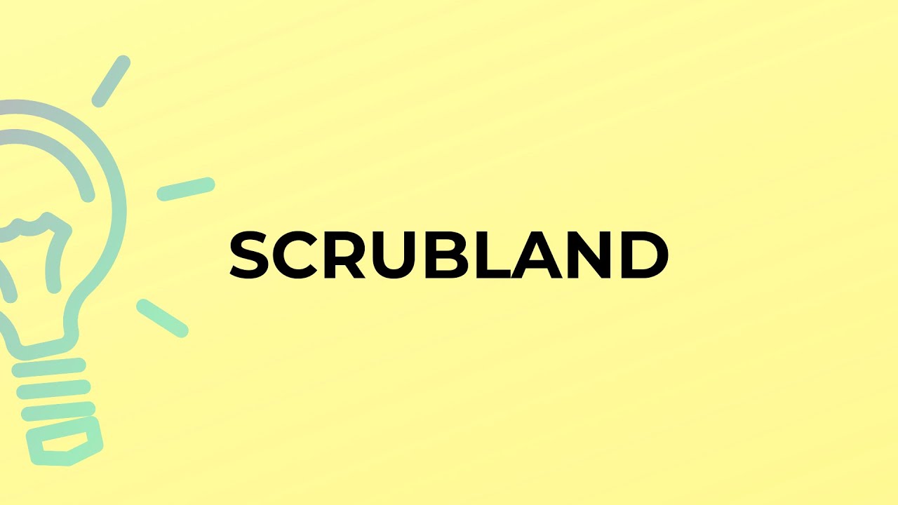 What is the meaning of the word SCRUBLAND?