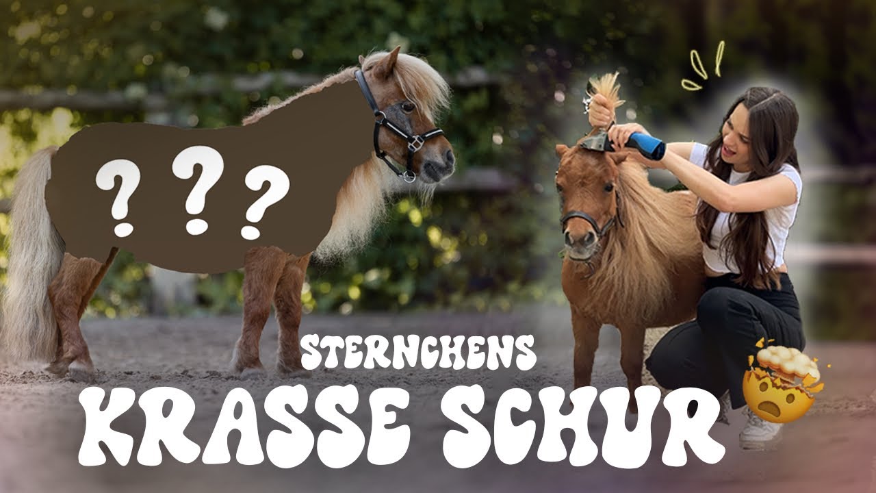 PONY bekommt crazy STERNEN-SCHUR🤯