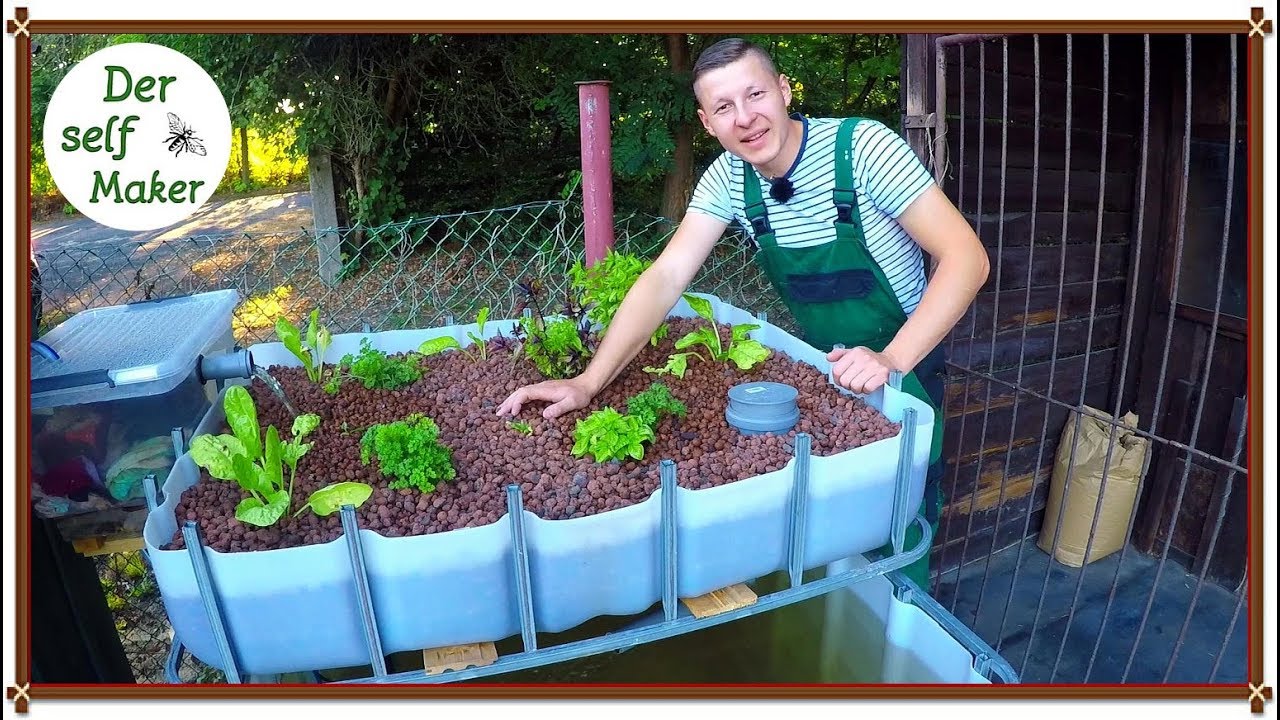 Das Aquaponic System selber bauen, die Bauanleitung