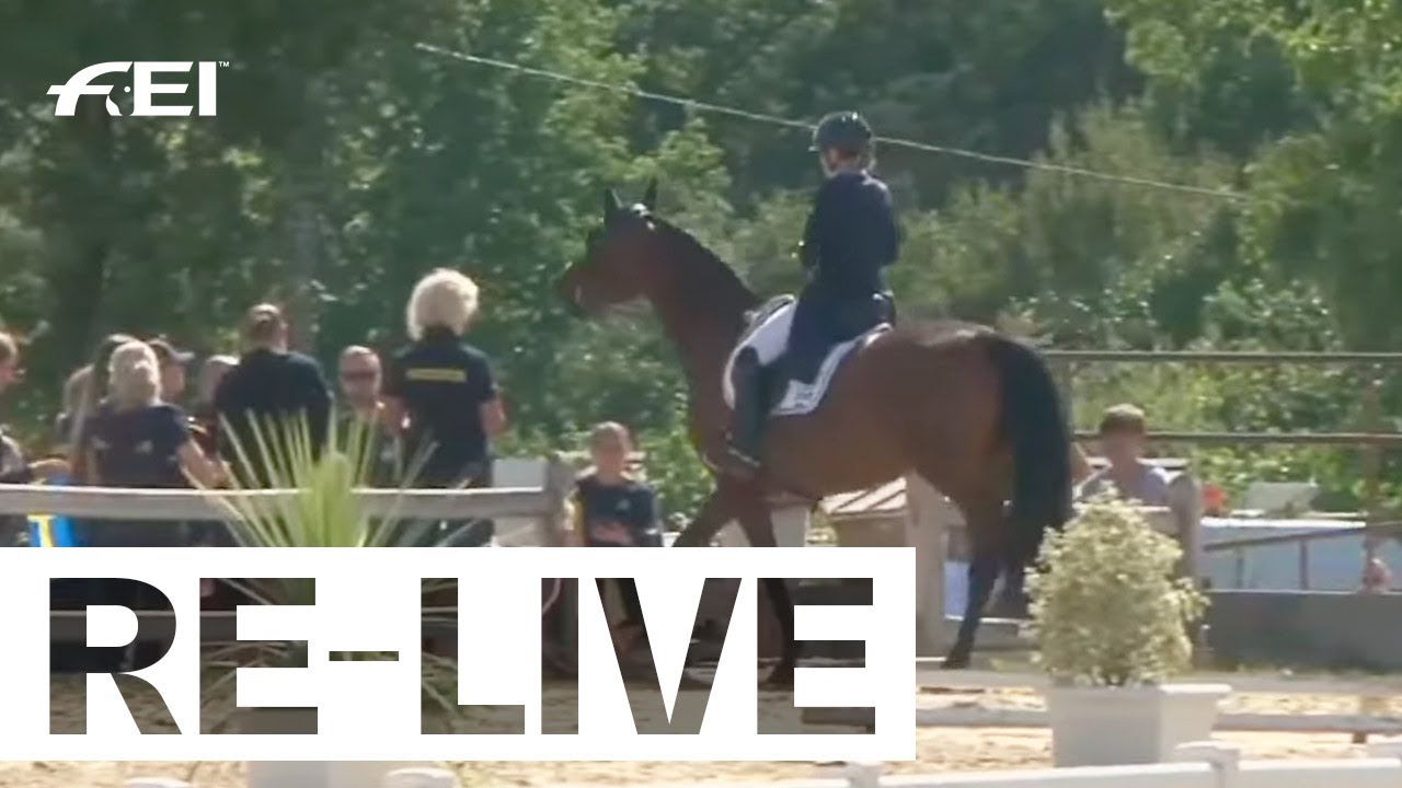 RE-LIVE | FEI Dressage European Championship for Juniors - Freestyle