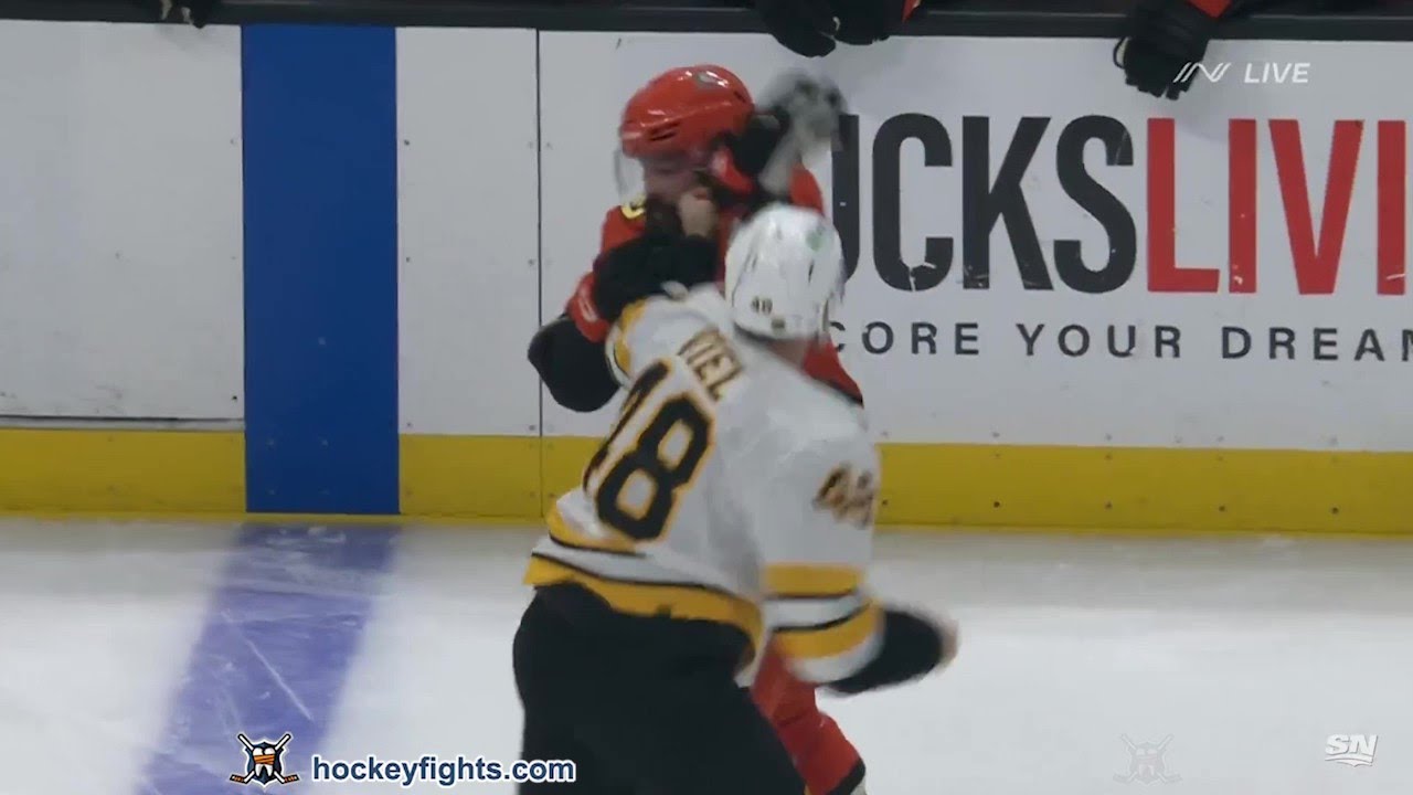Jeffrey Viel vs Radko Gudas Nov 19, 2025