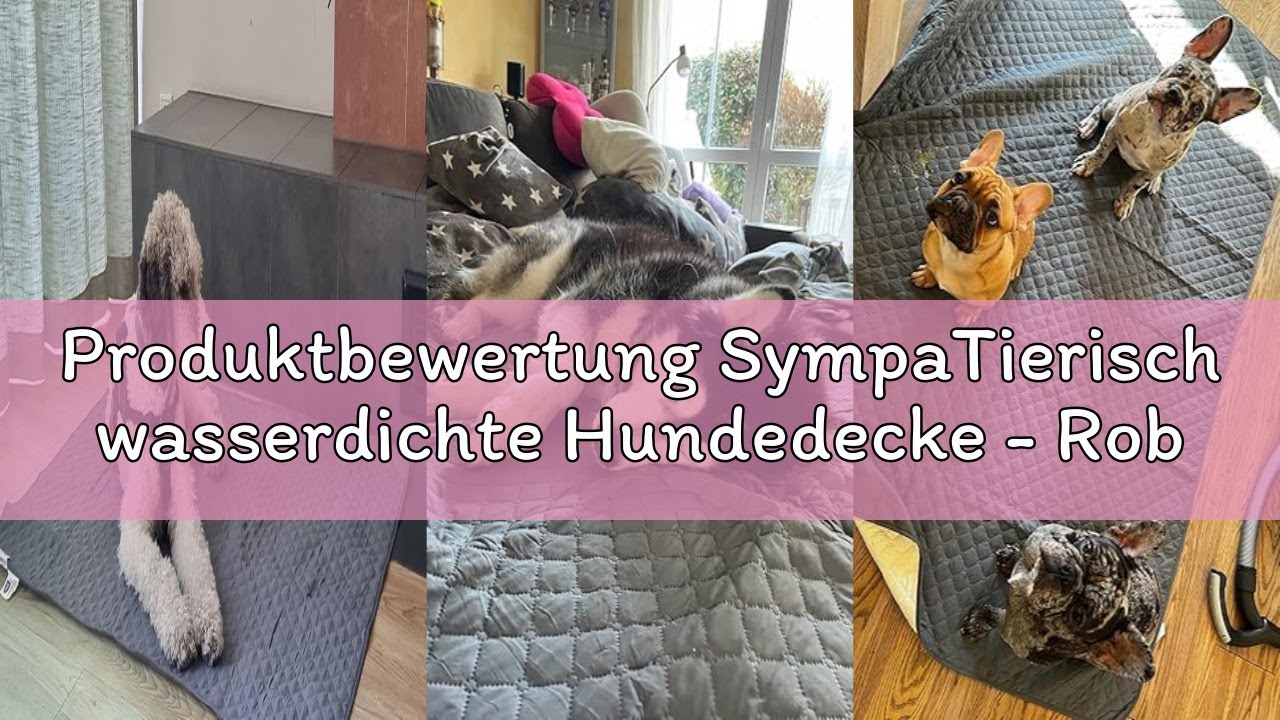 Produktbewertung SympaTierisch wasserdichte Hundedecke - Robuste Hundematte als Schutz für Sofa & Be