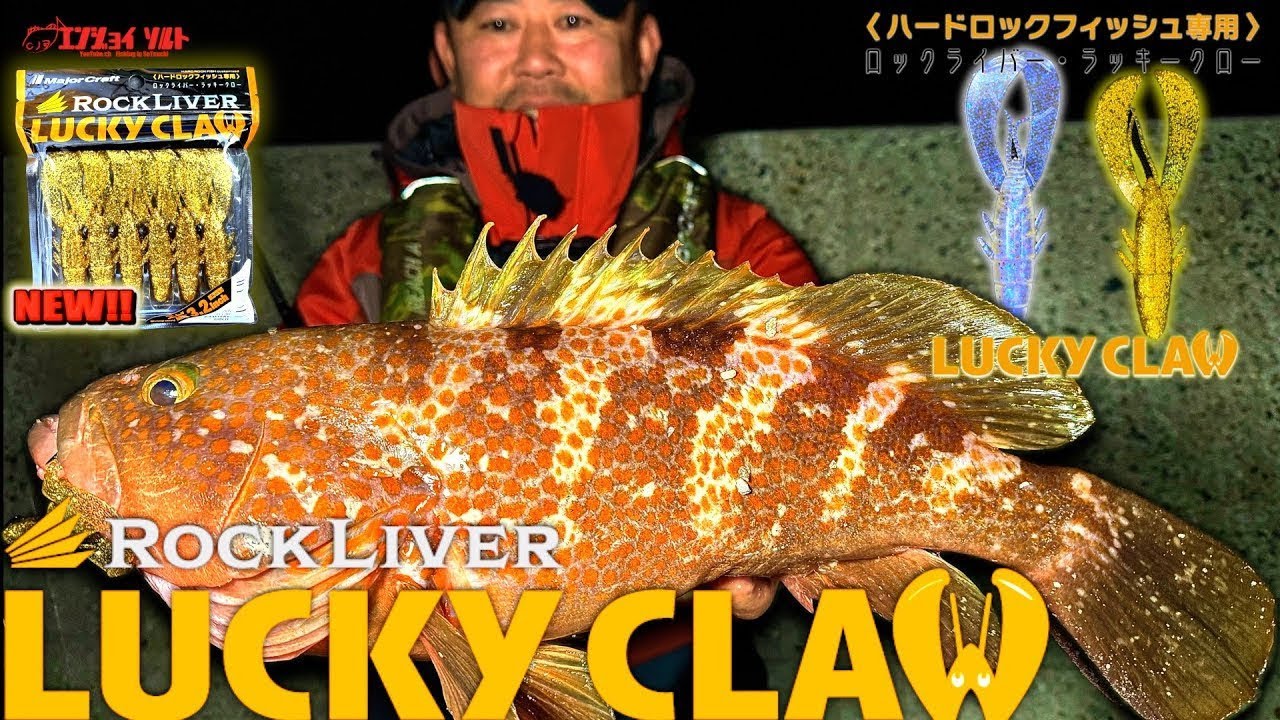 春のアコウ開幕はラッキークローと共に！ラッキークローでアコウ大連発
