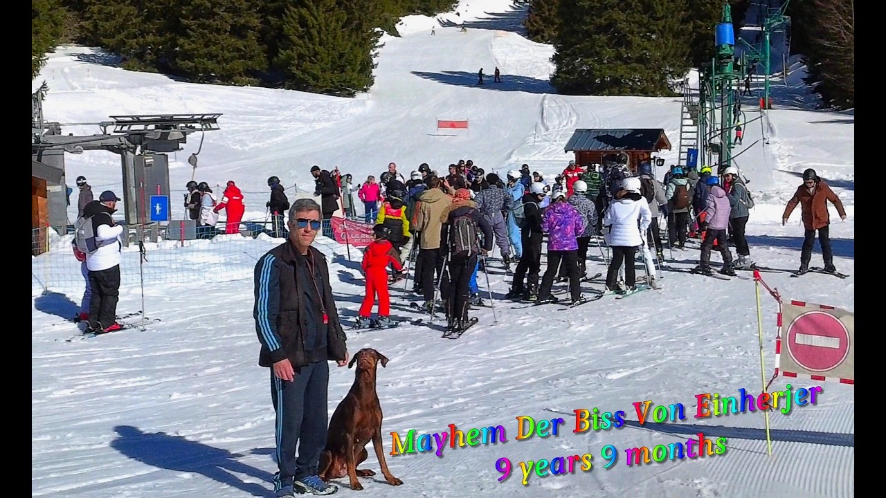 Mayhem Der Biss Von Einherjer 9 years 9 months
