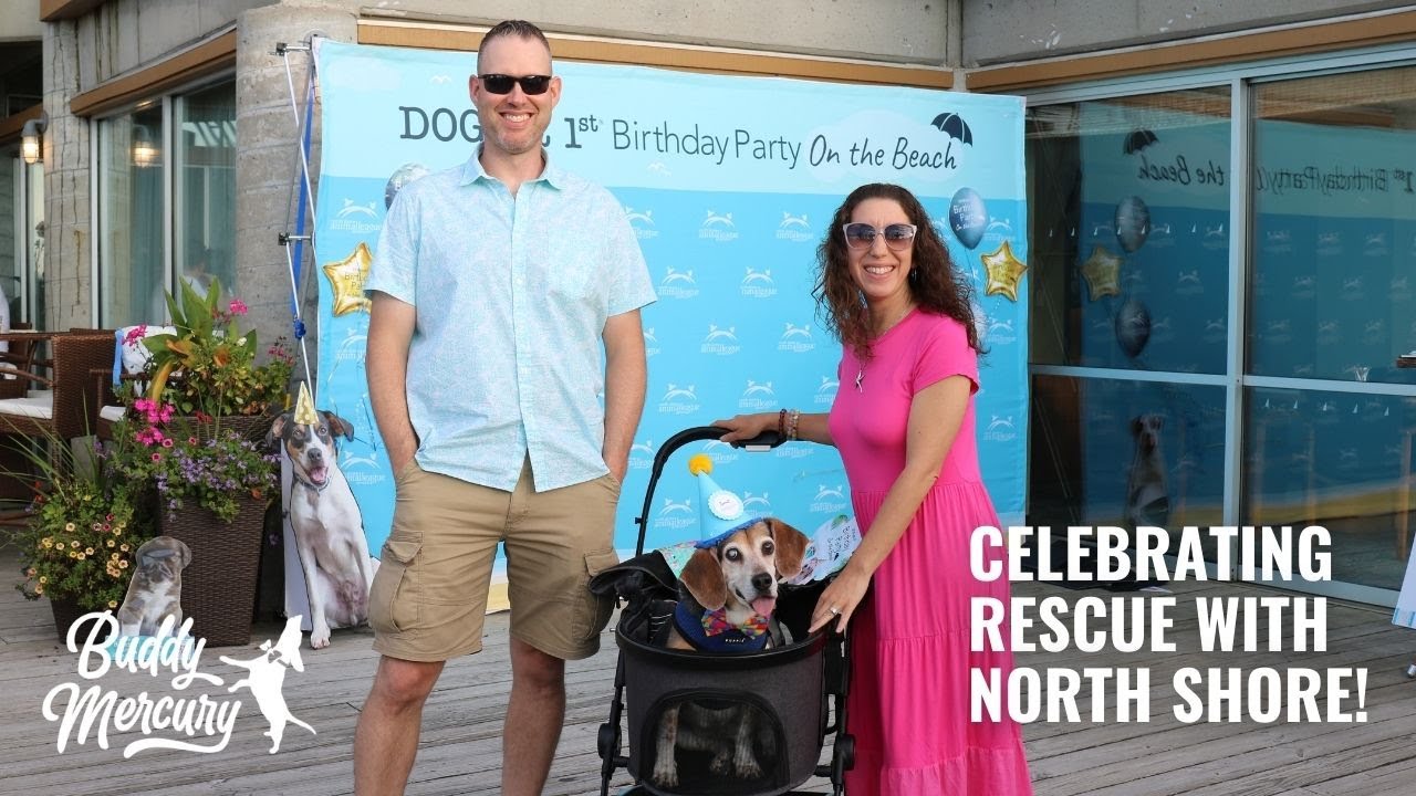 Celebrating Dogust 1st with North Shore Animal League