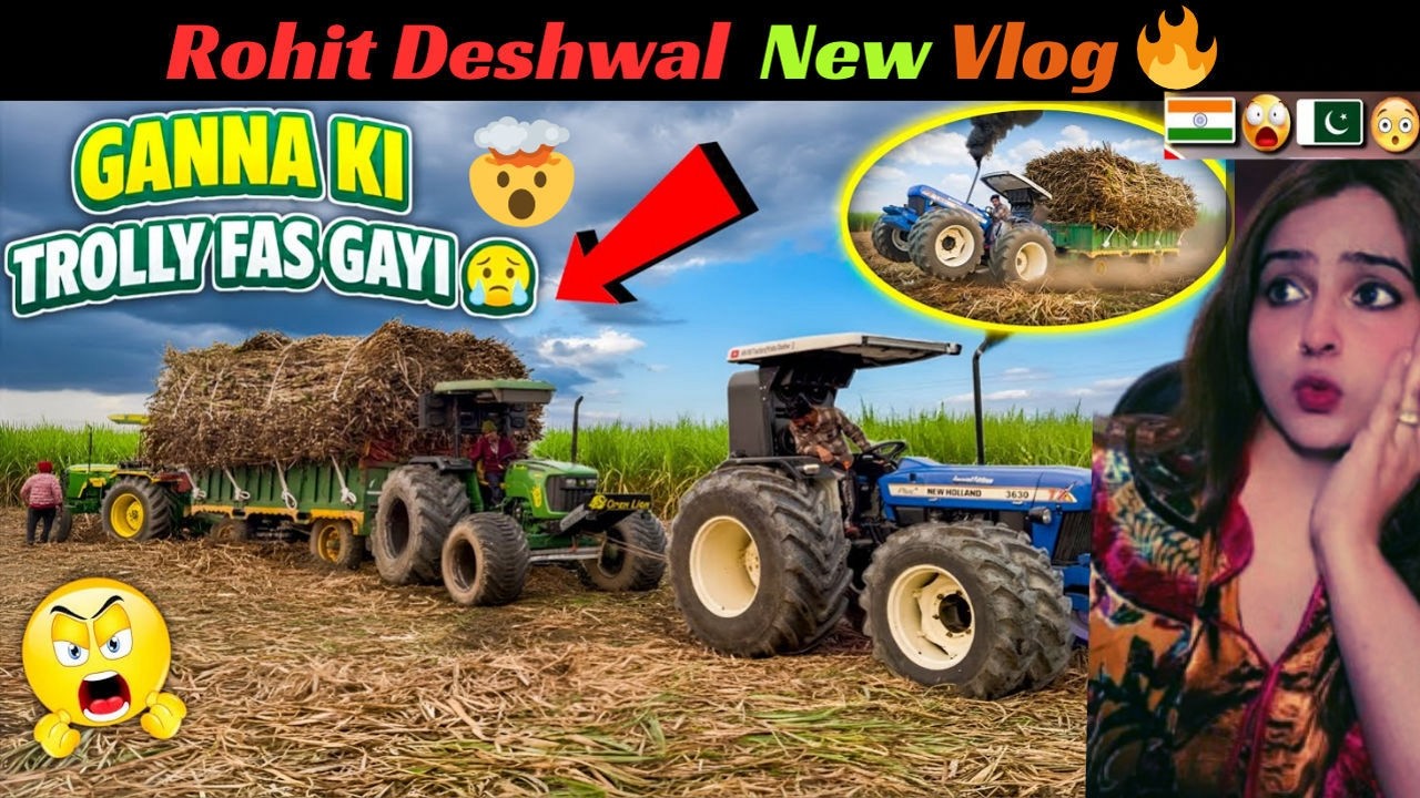 Reaction on Rohit Deshwal Viral Stunt Video 🔥 | latest vlog Reaction