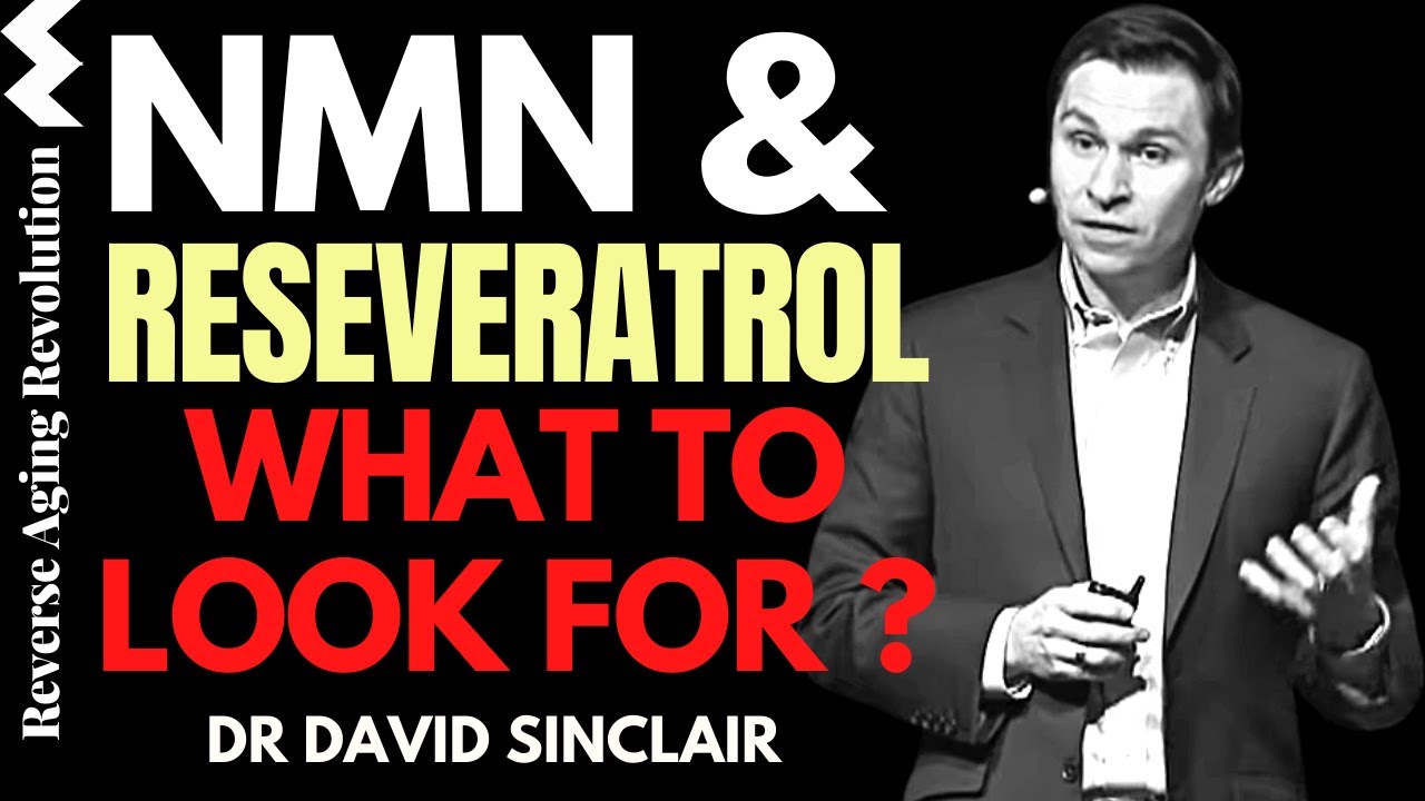 NMN & RESVERATROL&ndash; WHAT TO LOOK FOR? | Dr David Sinclair Interview Clips