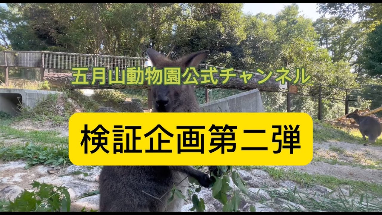 五月山動物園公式チャンネル　検証企画第二弾！