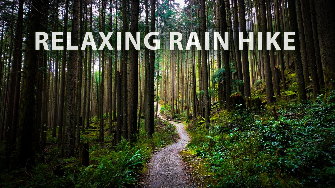 Relaxing Rain Forest Walk to Mystery Falls 🌧️ Peaceful Hiking Ambience, Nature Sounds