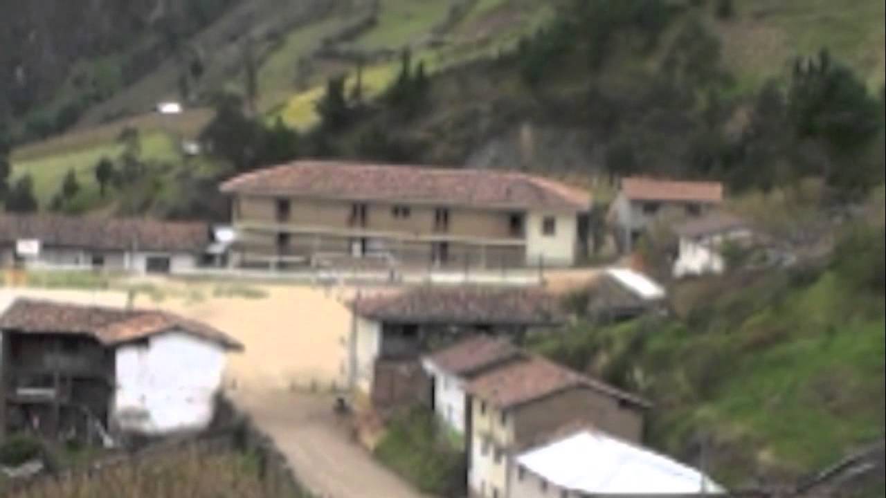 Gualel desde la retina de un ave