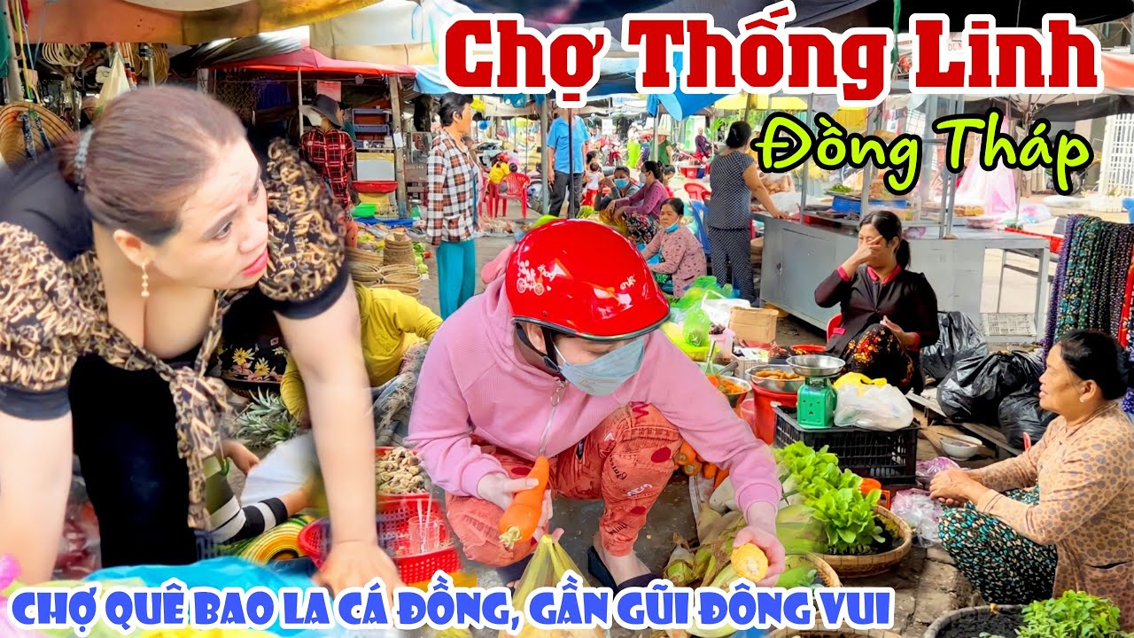 Nhộn Nhịp Đông Vui CHỢ QUÊ THỐNG LINH, ĐỒNG THÁP -Cá Đồng Nhiều Vô Số, Bà Con Gần Gũi Dễ Thương|KPVL