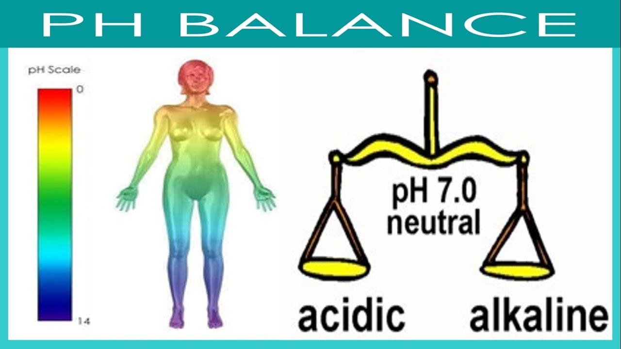 How To Maintain The pH Balance In Your Body (Health Tips)