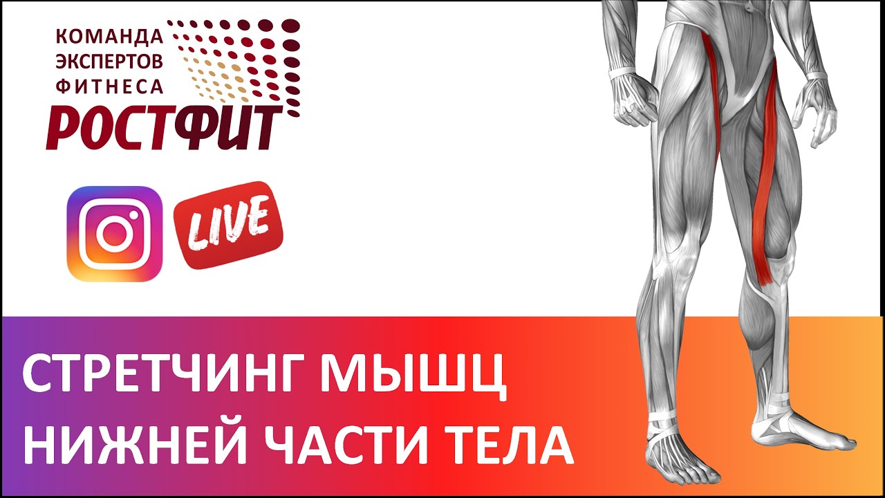 Растяжка мышц ног - запись эфира от 12 ноября 2020 в @rostfit
