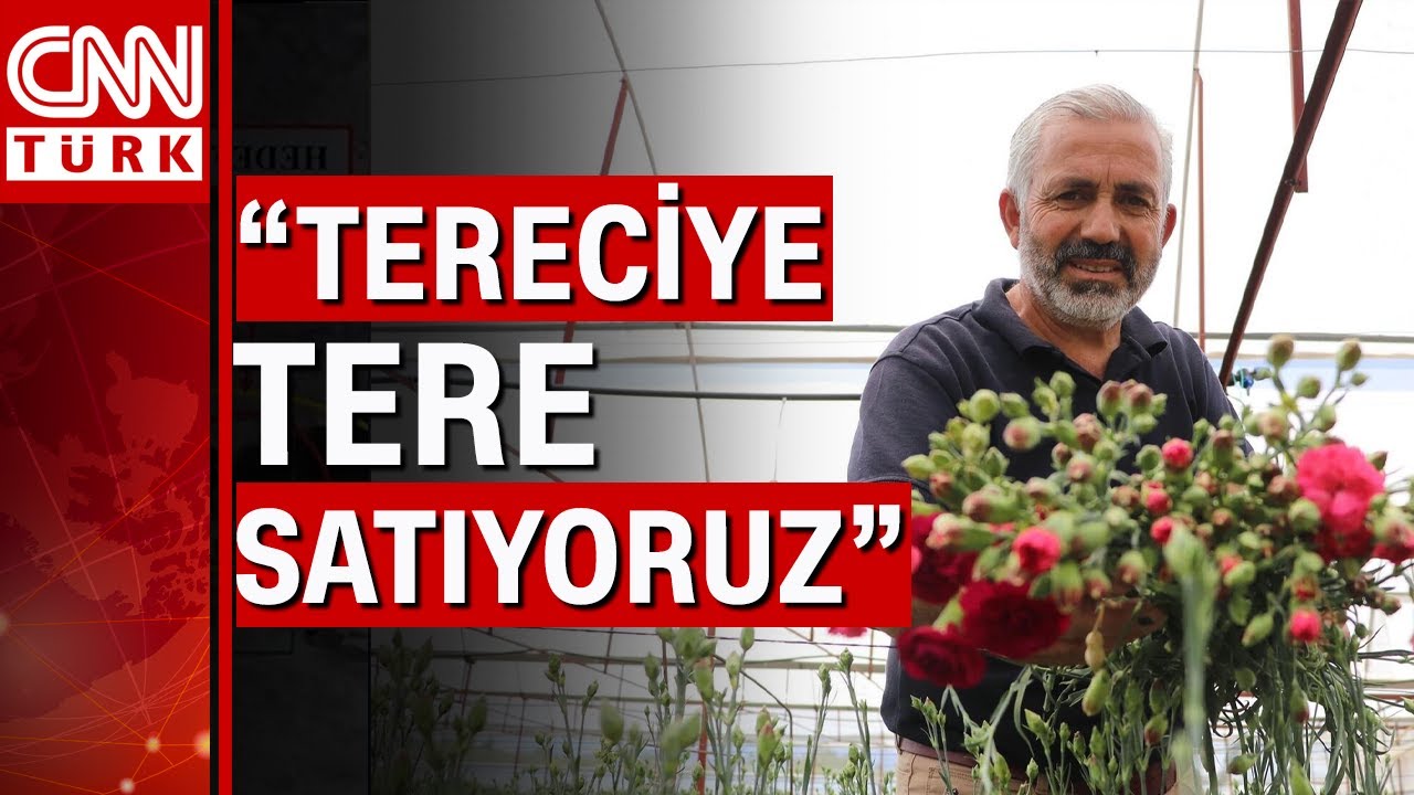 Avrupa'nın çiçek başkenti Hollanda'ya çiçek satıyor! 