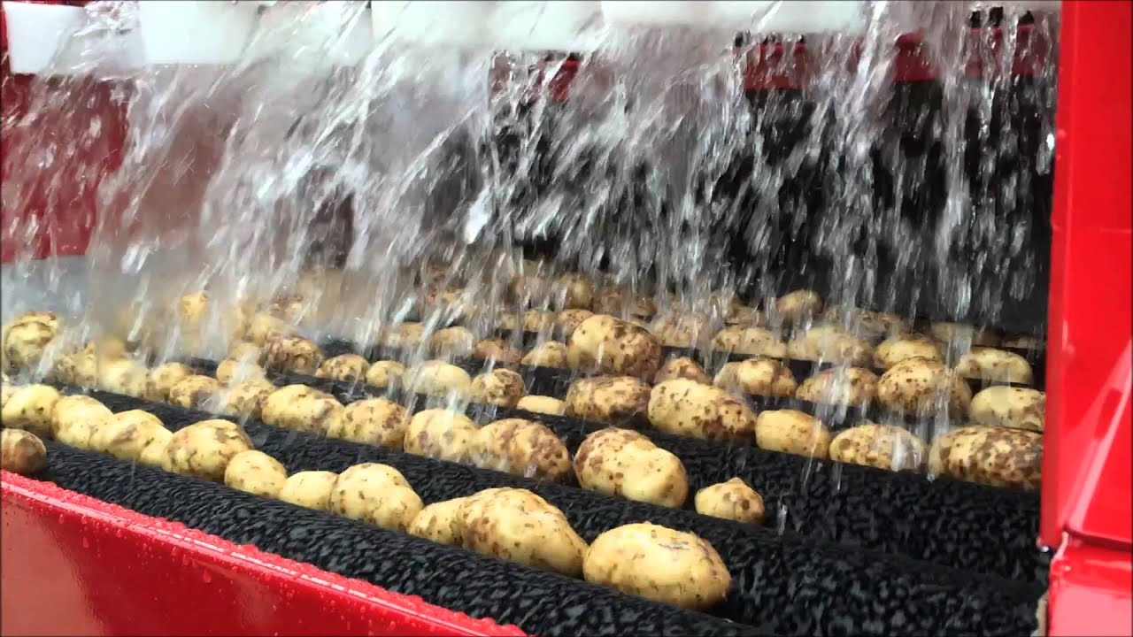 Tong Brush Washer & Dryer