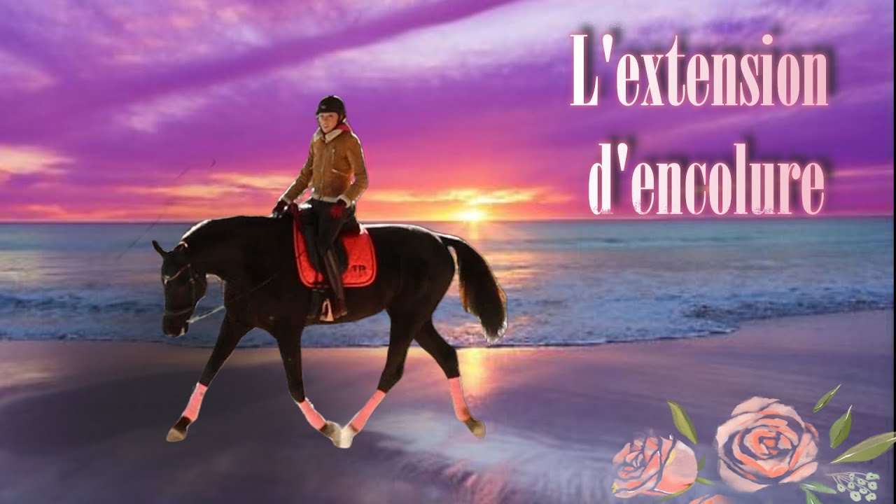 Comment faire une extension d'encolure