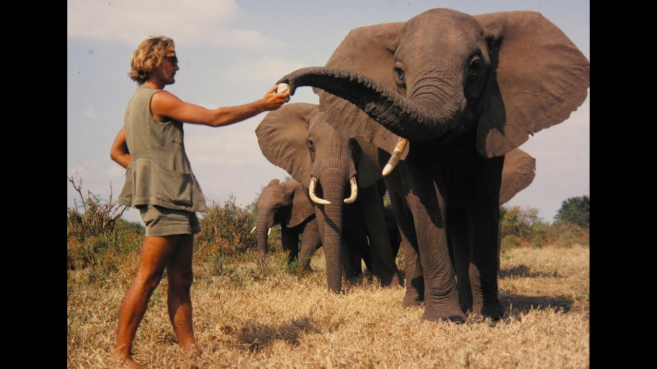 A Life Among Elephants - Trailer 2024