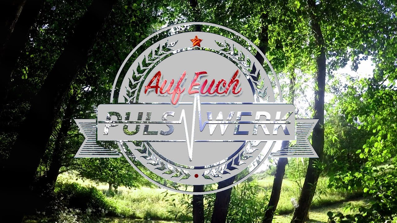 PulsWerk - Auf Euch (Offizielles Video)