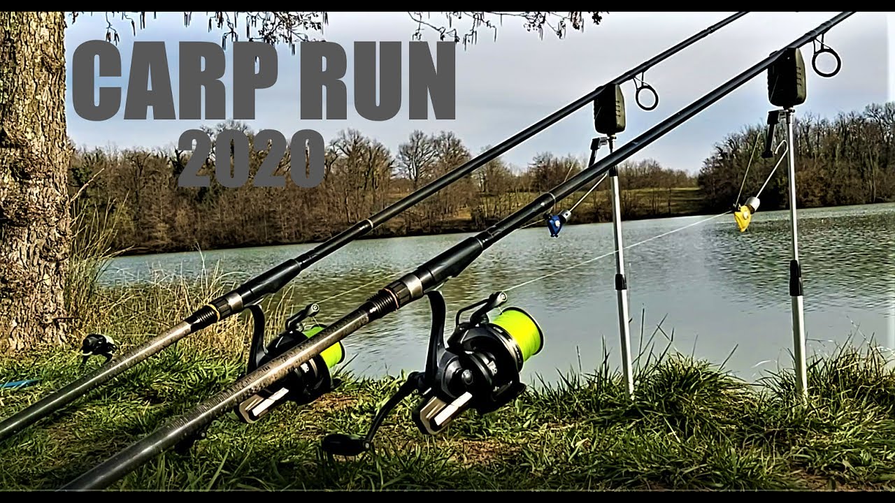 Carp Run Compilation 2020