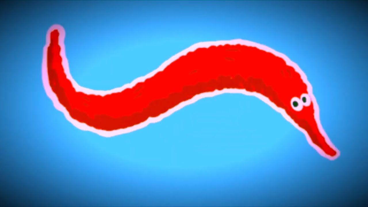 They Might Be Giants - Dr. Worm (lyrics)