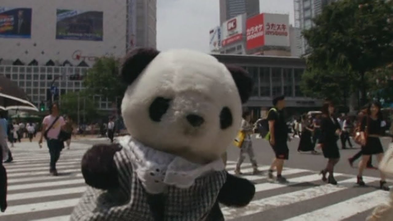 Soft toy holidays: Japanese travel agent offers trip for your teddy bear