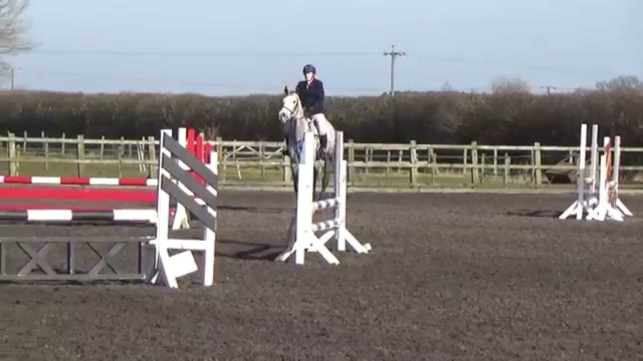 Jimmy 75cm Showjumping