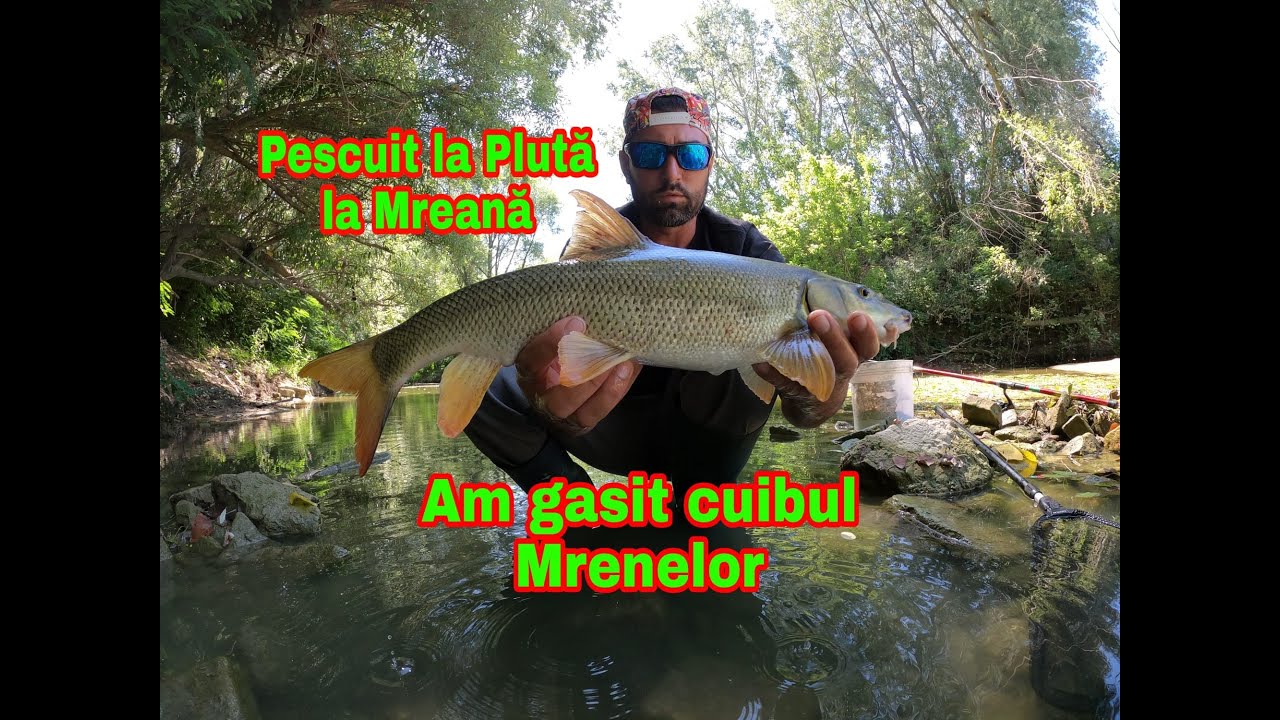 Pescuit la Pluta la Mreana. Am gasit cuibul Mrenelor
