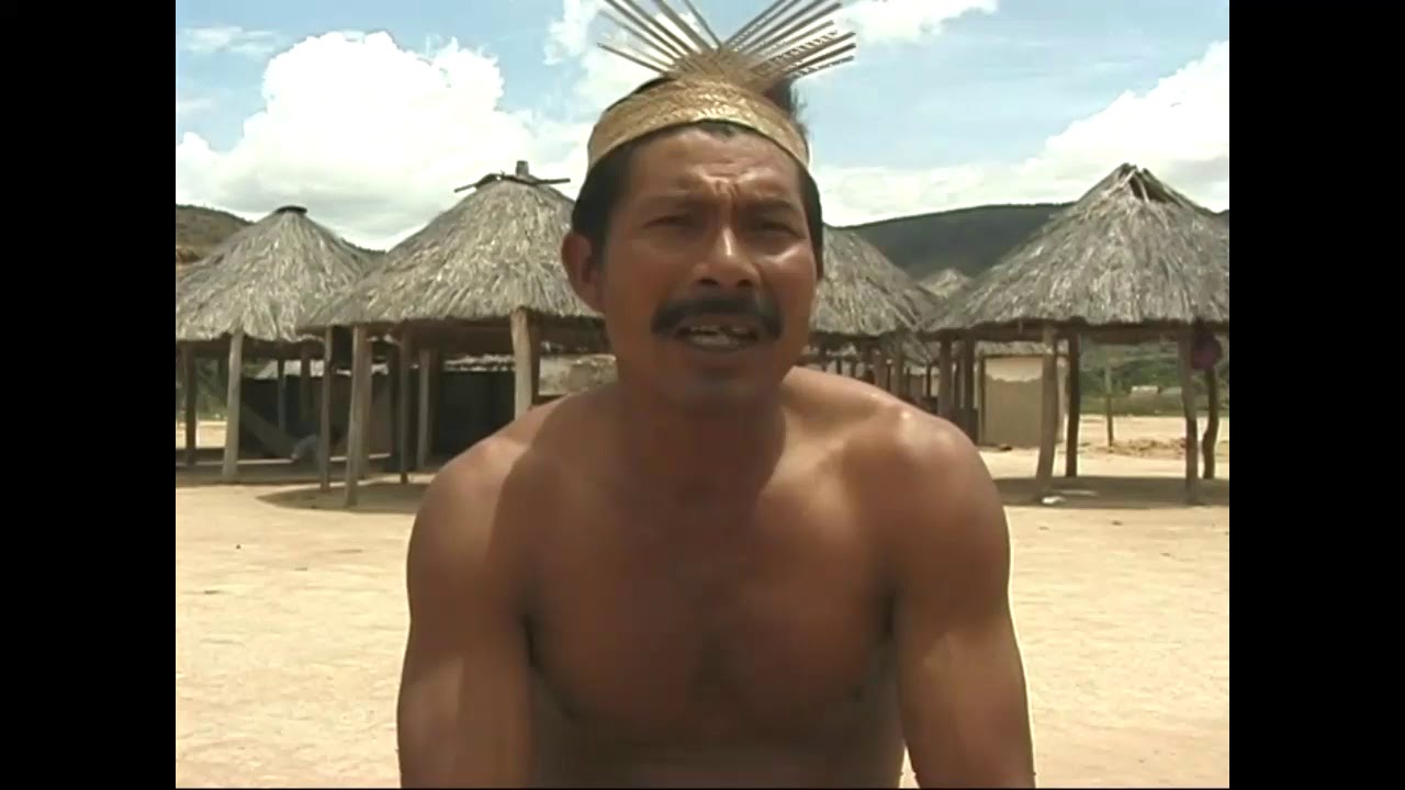 Vamos à luta - os 25 anos do projeto 