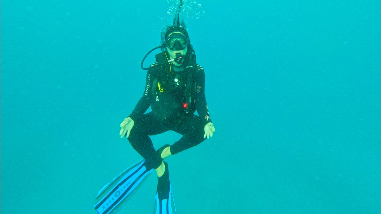 Mama Vina Shipwreck Dive- Playa Del Carman,MX