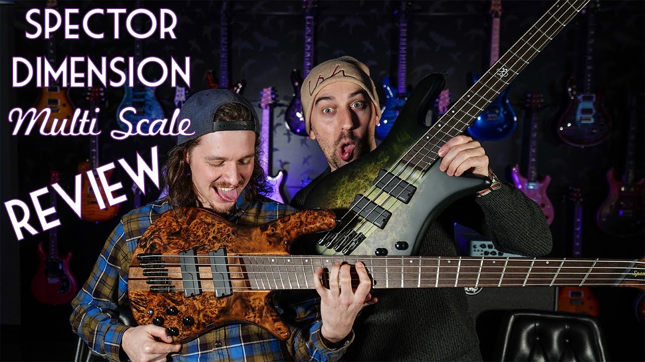 Первый взгляд &mdash; обзор Spector Dimension MULTI-SCALE
