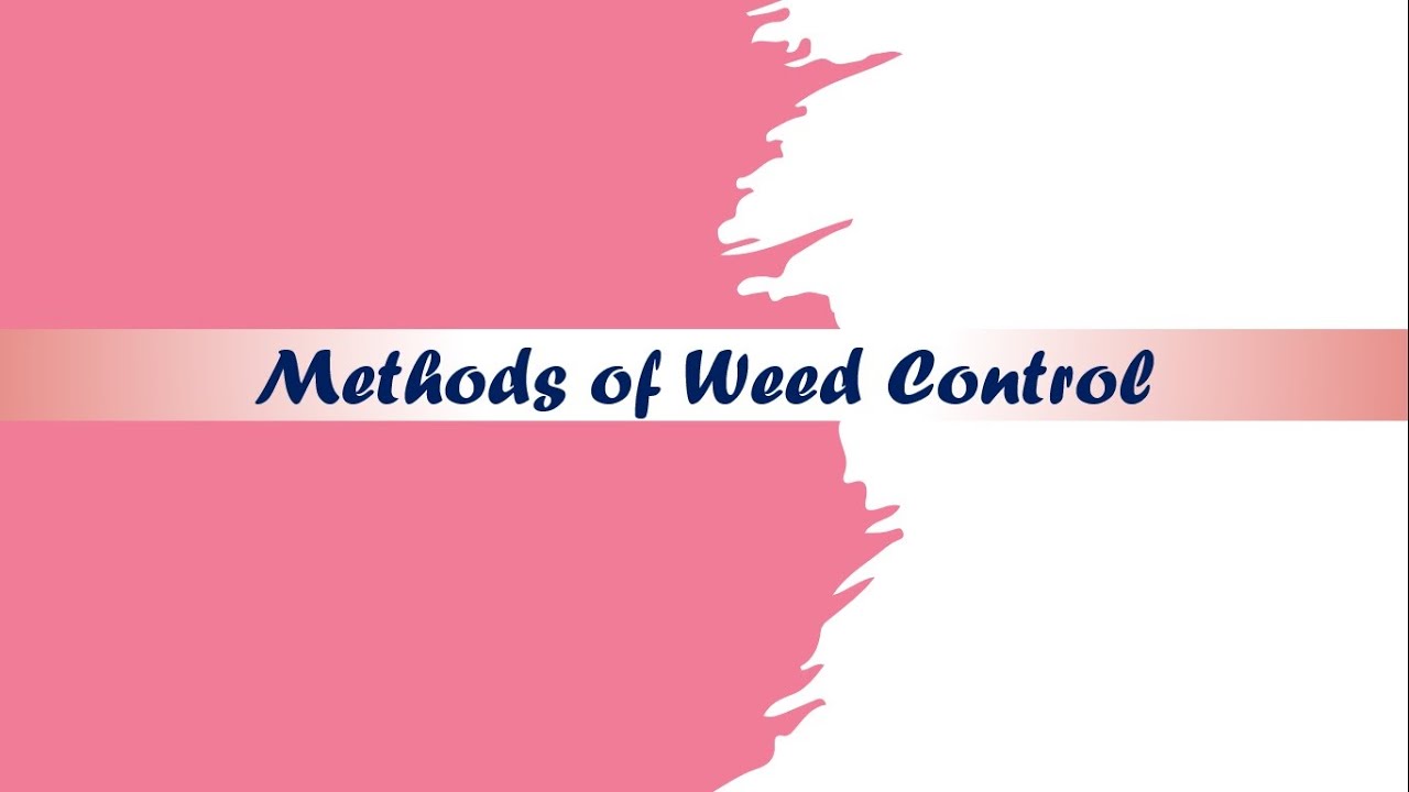 #AGRON111 #AGRON313 Methods of Weed Management