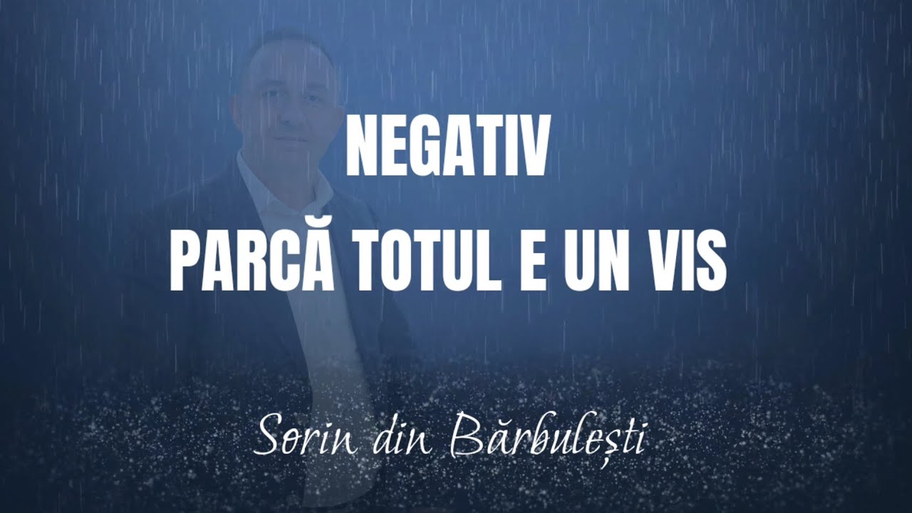 NEGATIV - PARCA TOTUL E UN VIS (Sorin din Bărbulești playback original)