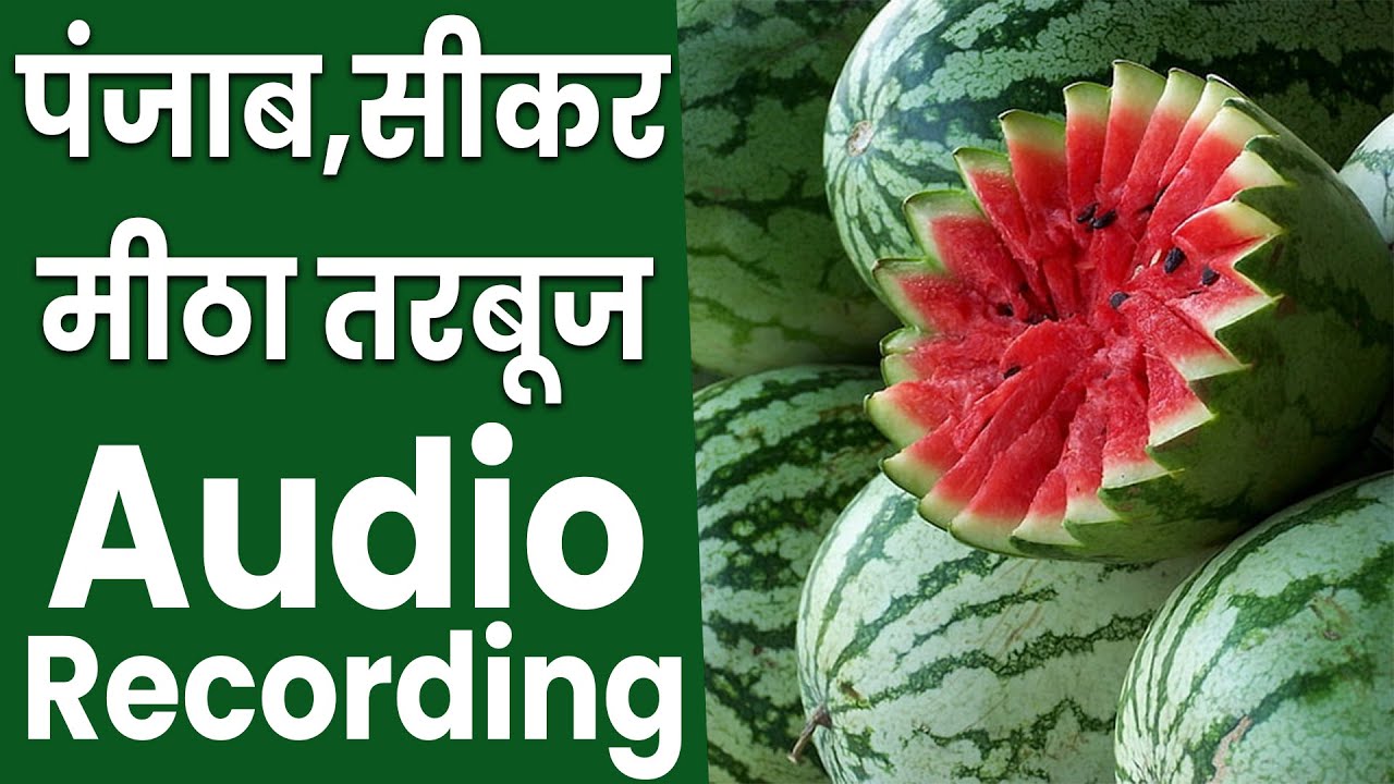 [ हिंदी ] पंजाब का तरबूज रिकॉर्डिंग II सीकर का मीठा तरबूज का प्रचार II Watermelon Audio Prachar 2025