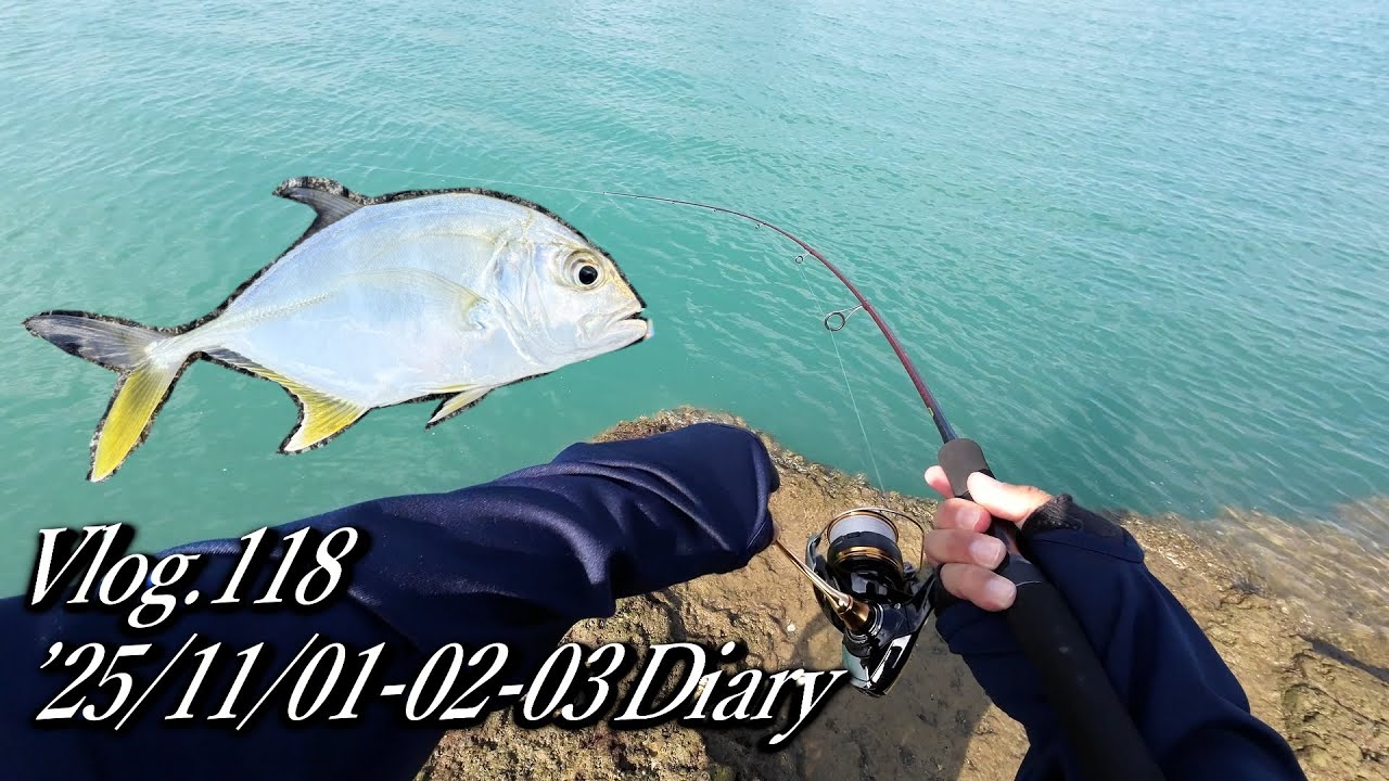【ルアー釣り】渋くても堤防、護岸でメッキ　Vlog.118  '25年11月01-02-03日　#沖縄 #ルアー釣り #ワーミング　#マイクロショアゲーム　＃ショアジギング