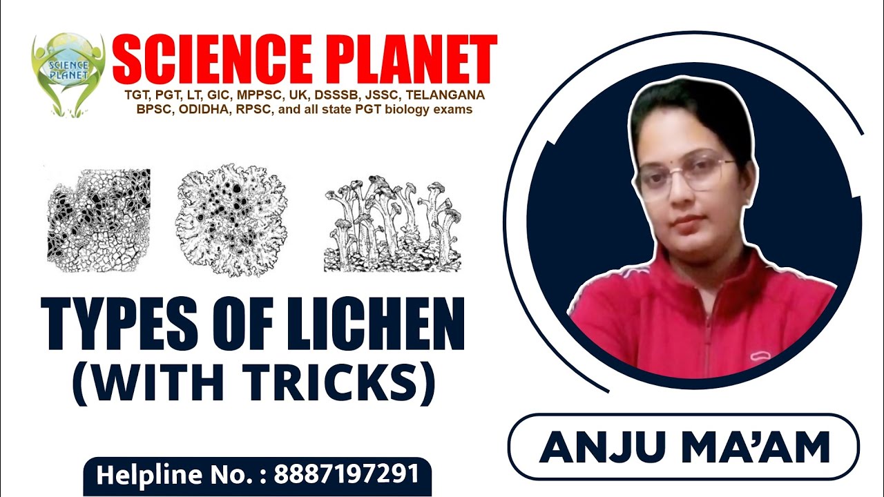 Types of Lichen (WITH Tricks) by Anju Mam of Science Planet!
