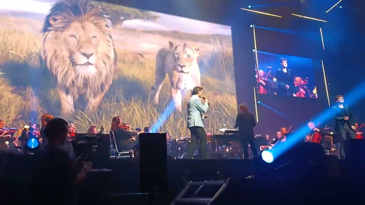 I Always wanted a Brother (Mufasa) 'Soy Kroon & Matheu Hinzen' Disney in Concert: Follow your Dreams
