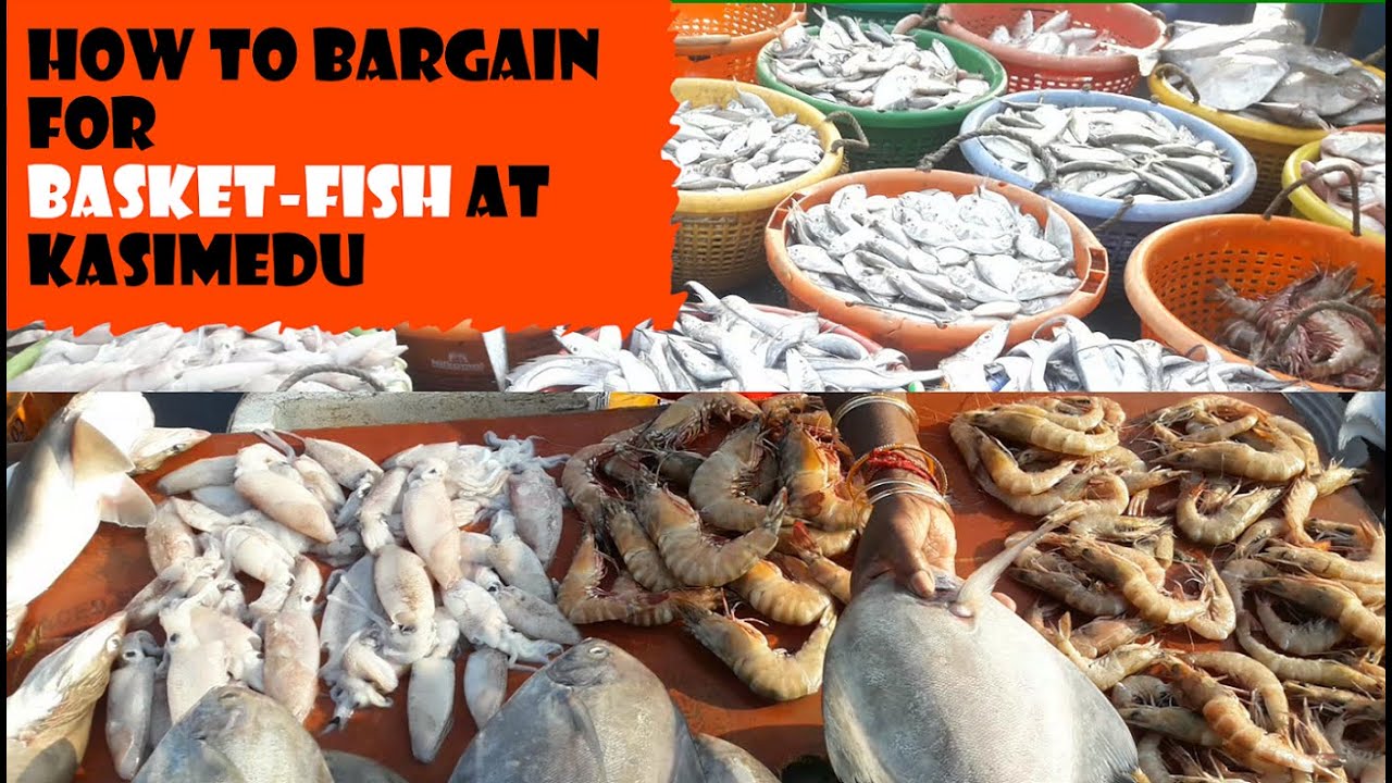 How to Bargain For Basket Fish At Kasimedu ||கூடை மீன்|| கூறு மீன் பேரம் பேசி வாங்குவது எப்படி ||